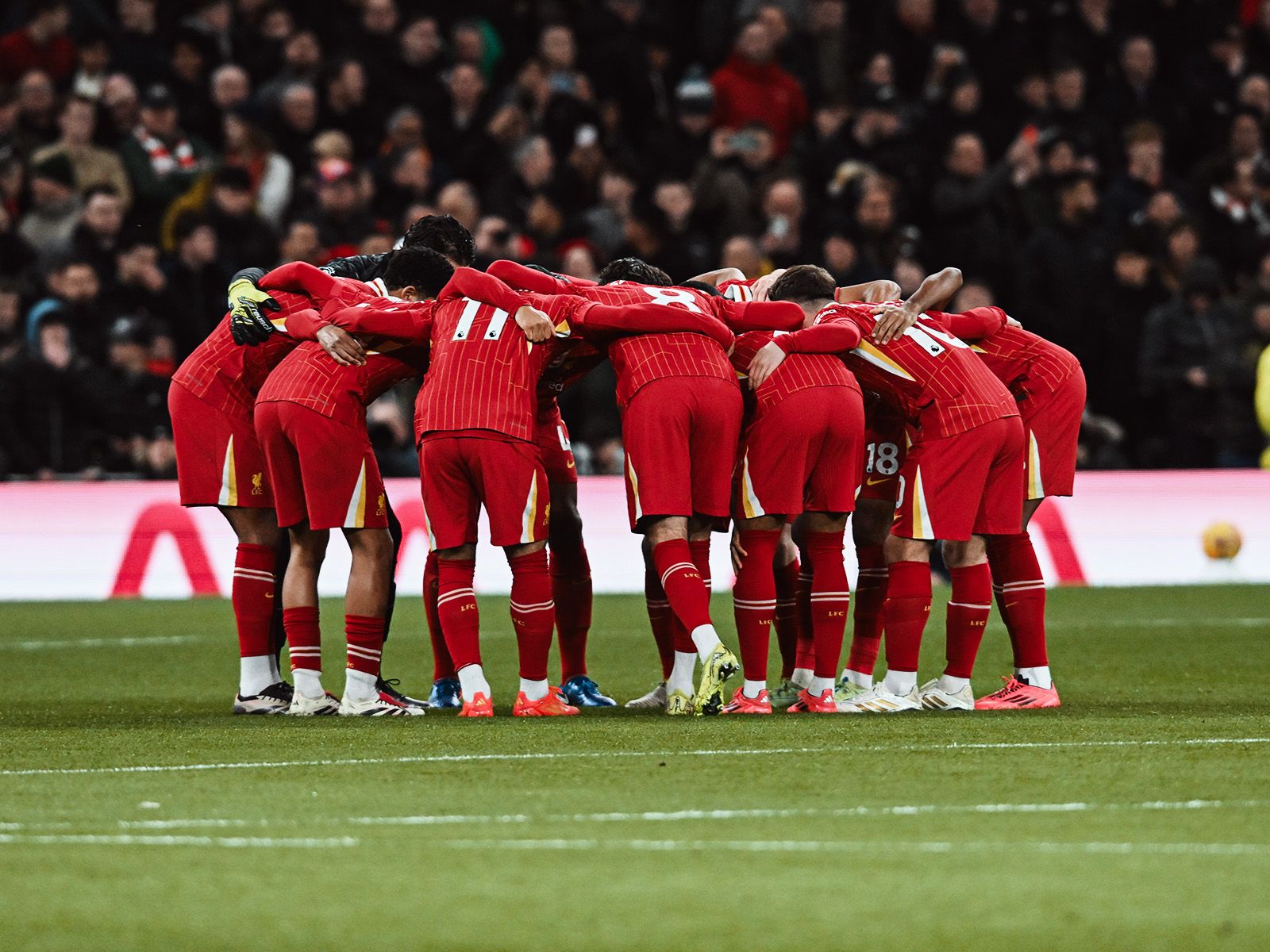 教我们在波 教我们在波